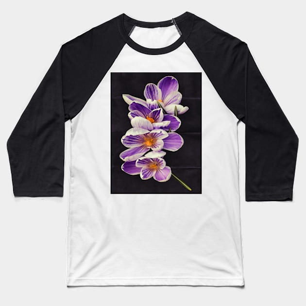 Stripey Crocuses Baseball T-Shirt by avrilharris